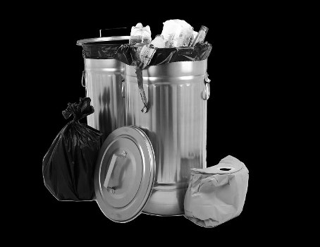 Employees engaging in recycling initiatives